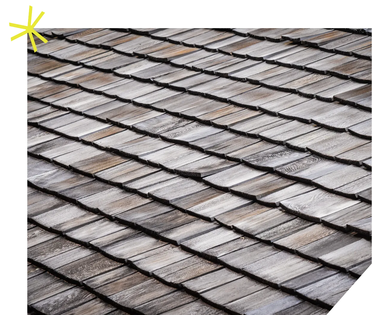 Logement bioclimatique à Annemasse, Pragmo crée un cadre durable.